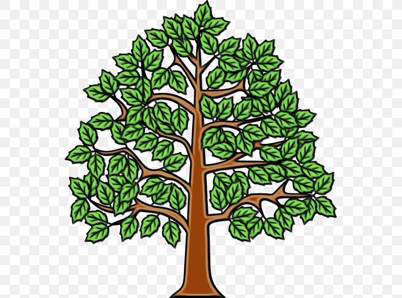 European Beech Tree Branch Wood An English Oak Tree, PNG, 555x607px, Watercolor, American Beech, Ash, Beech, Branch Download Free