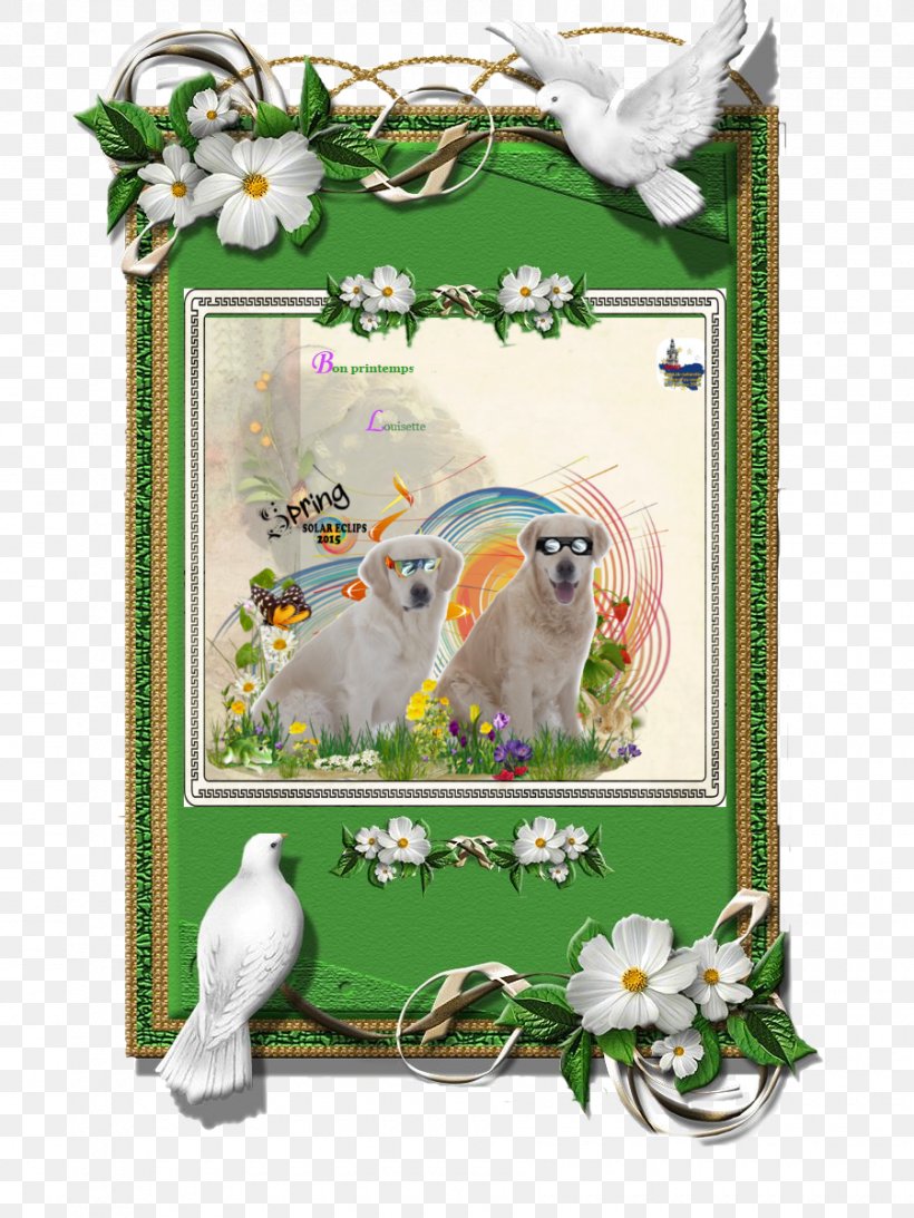 Fauna Green Picture Frames The Arts, PNG, 900x1200px, Fauna, Art, Arts, Creativity, Flora Download Free