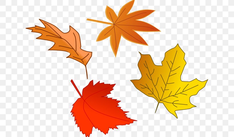 Vector Graphics Autumn Image Illustration Clip Art, PNG, 640x480px, Autumn, Autumn Leaf Color, Drawing, Flower, Flowering Plant Download Free