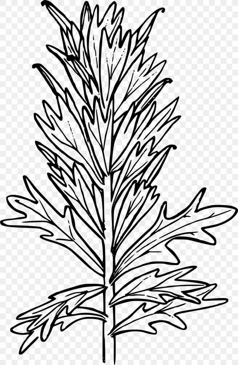 Paintbrush Clip Art, PNG, 834x1280px, Paintbrush, Black And White, Branch, Brush, Coloring Book Download Free
