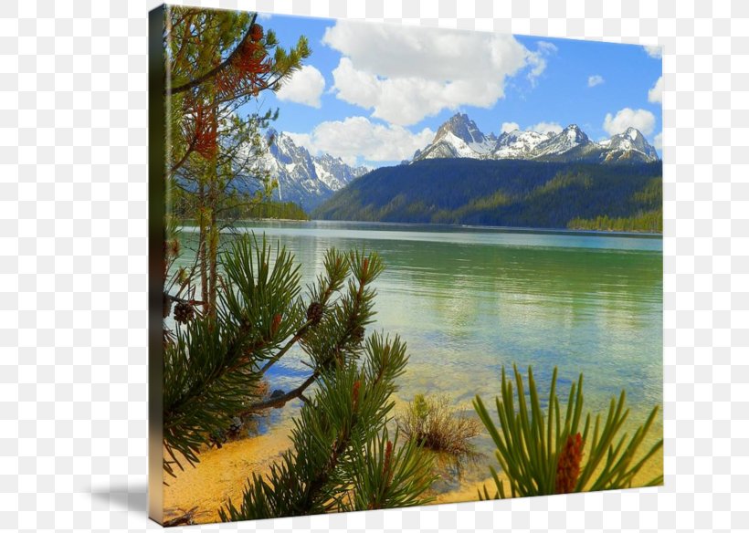 Painting Nature Gallery Wrap Loch Inlet, PNG, 650x584px, Painting, Art, Canvas, Ecosystem, Gallery Wrap Download Free