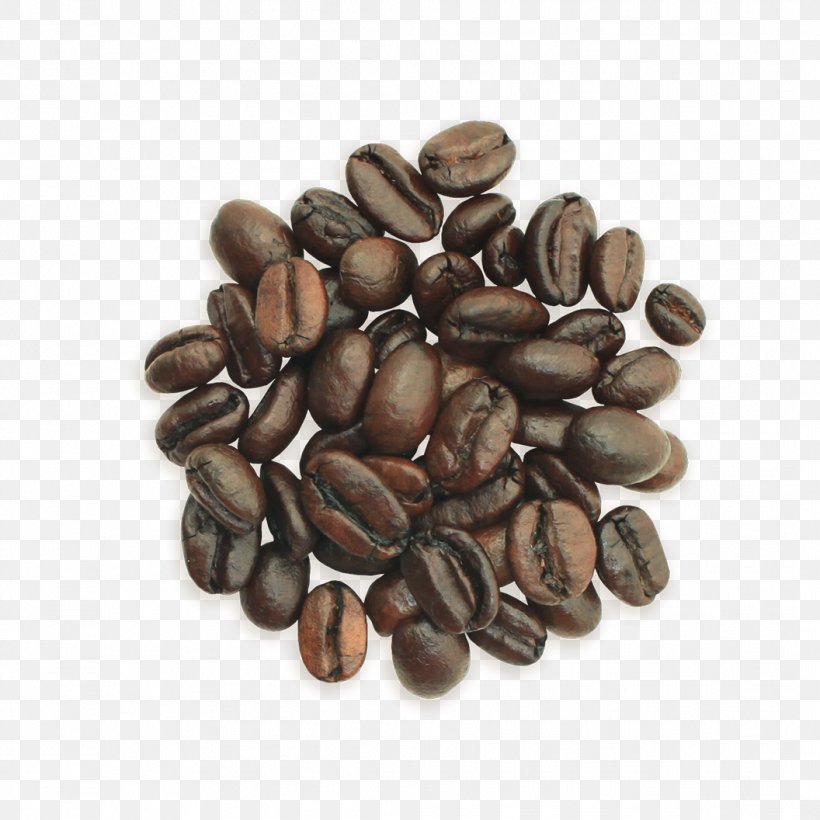 Philz Coffee Cafe Nut Palo Alto, PNG, 1056x1056px, Coffee, Bean, Cafe, Cocoa Bean, Coffee Bean Download Free
