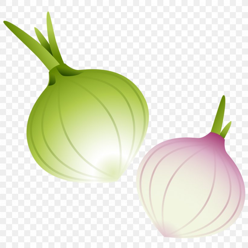 Red Onion Vegetable, PNG, 1181x1181px, Onion, Cellophane Noodles, Drawing, Food, Fruit Download Free