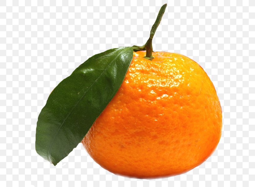 Clementine Fruit Tangerine Food Mandarin Orange, PNG, 622x600px, Clementine, Auglis, Bitter Orange, Calamondin, Chenpi Download Free