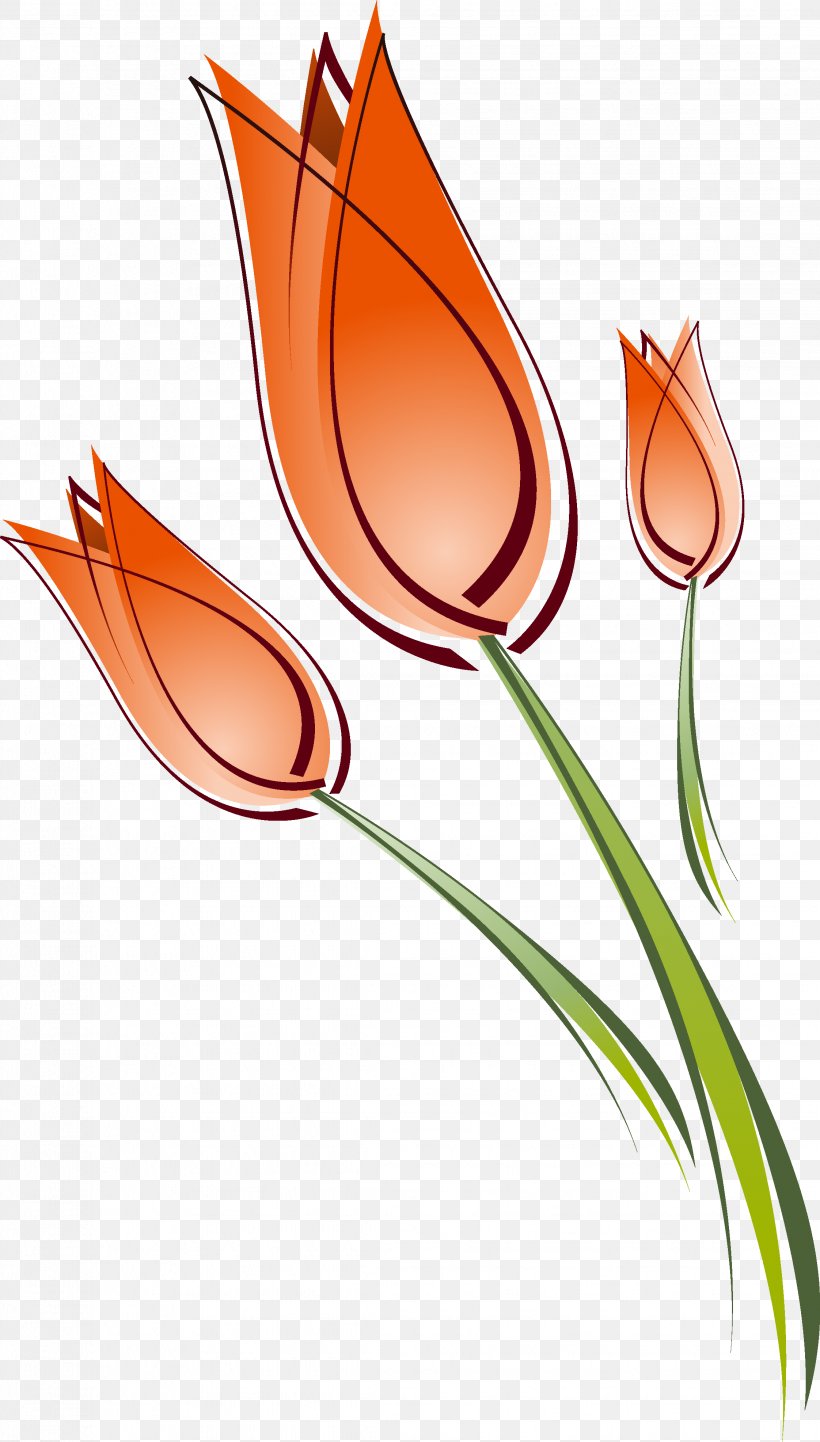 Tulip Drawing Clip Art, PNG, 2244x3948px, Tulip, Coreldraw, Drawing, Flower, Flowering Plant Download Free
