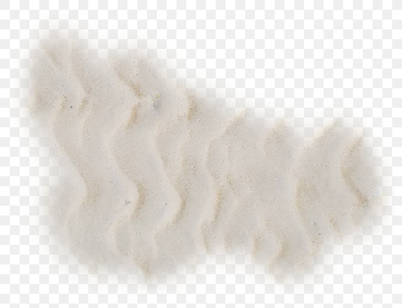 White Background, PNG, 800x629px, Fur, Beige, Hand, White Download Free