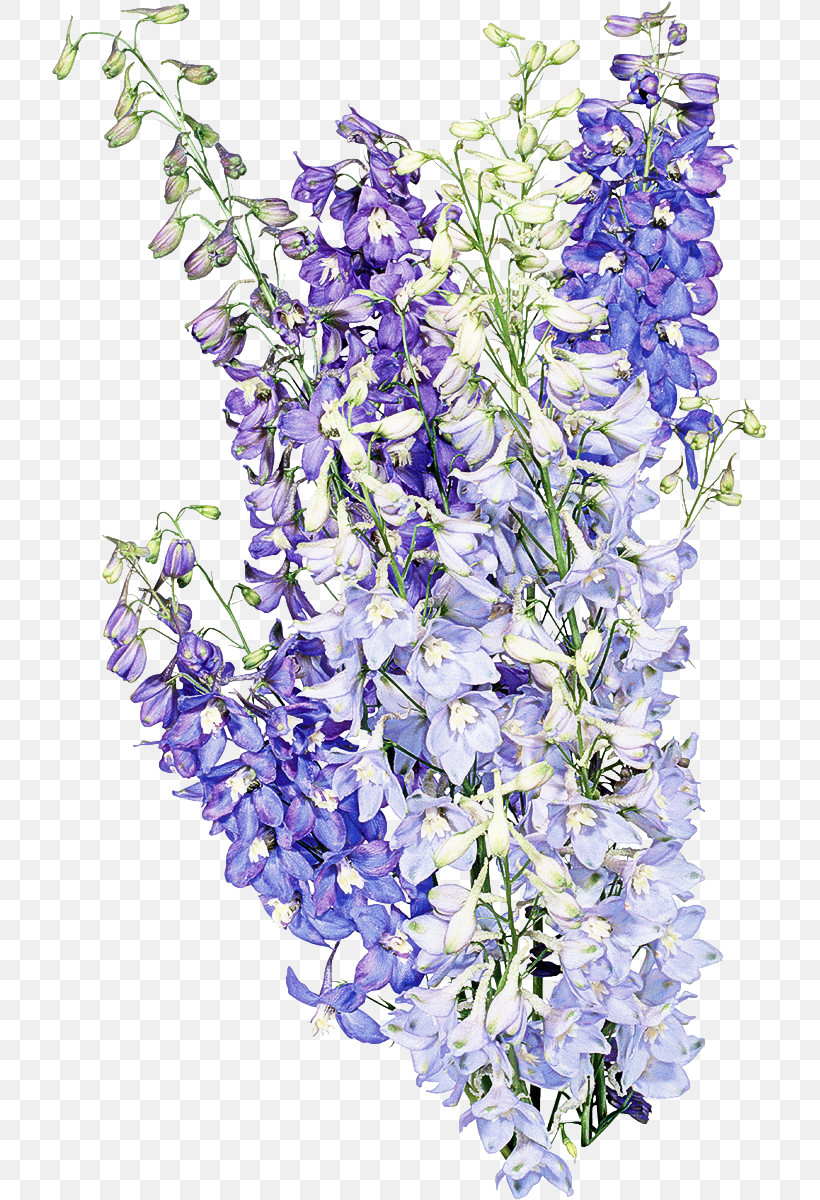 Artificial Flower, PNG, 717x1200px, Flower, Artificial Flower, Cut Flowers, Delphinium, Dendrobium Download Free