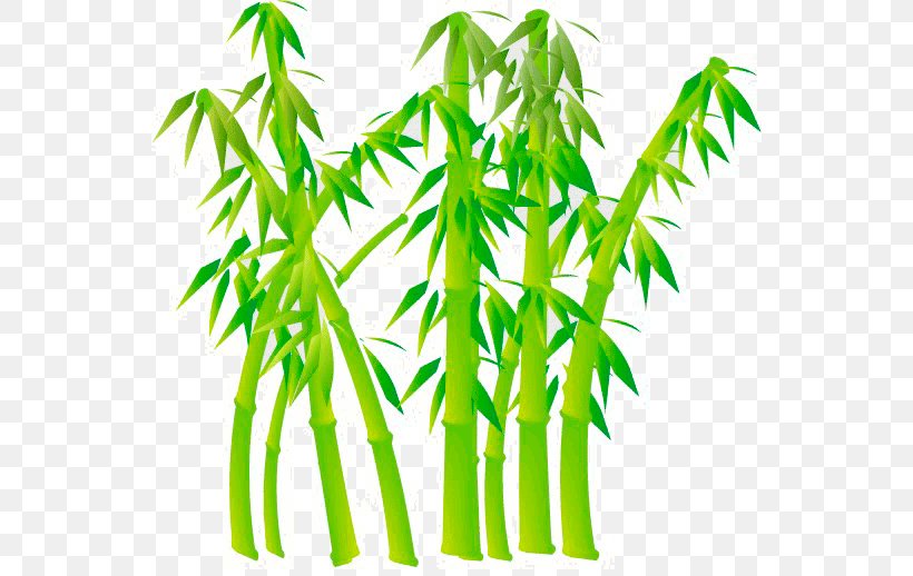 Bamboo Graphics Drawing Image Reed, PNG, 548x518px, Bamboo, Bambou, Coloring Book, Description, Drawing Download Free