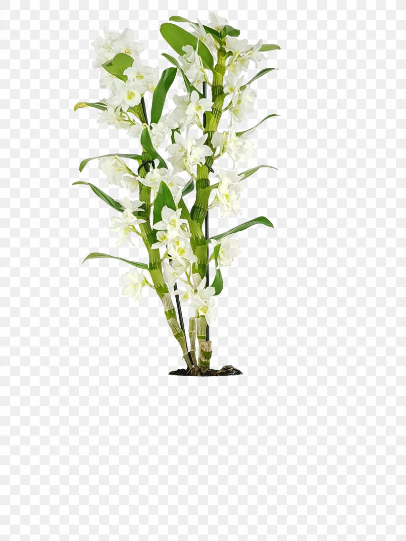 Floral Design Dendrobium Plants Orchids Flower, PNG, 1200x1600px, Floral Design, Anthurium, Aquarium Decor, Bamboo, Cut Flowers Download Free