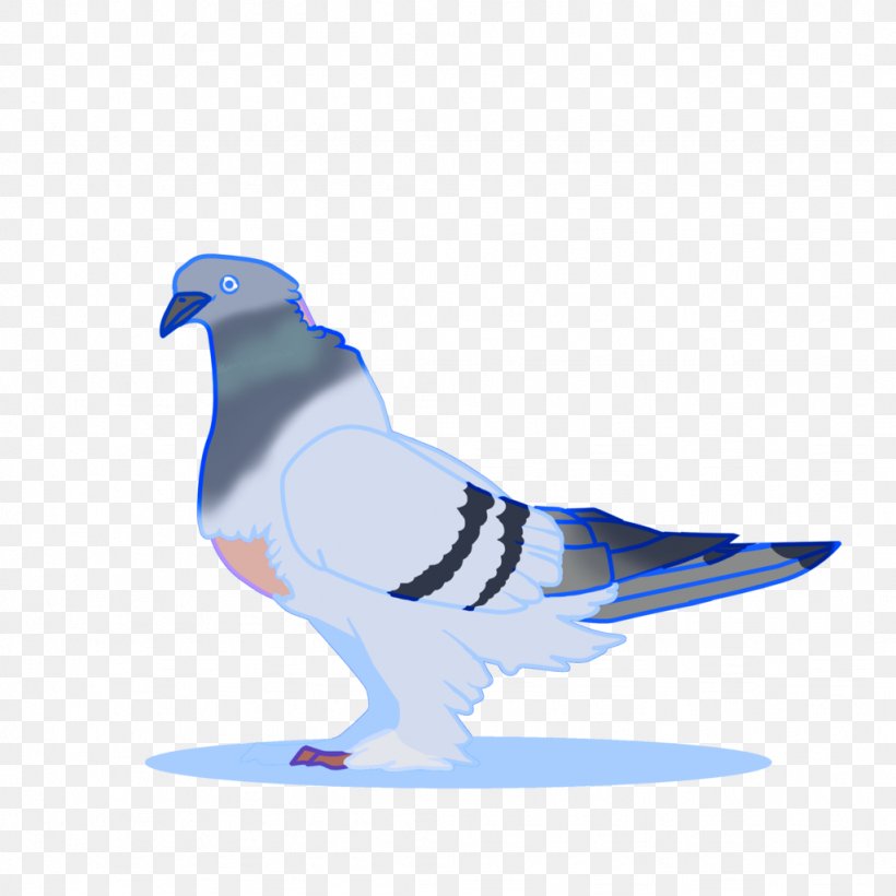 Bird Columbidae Domestic Pigeon Cobalt Blue Beak, PNG, 1024x1024px, Bird, Animal, Beak, Blue, Cobalt Download Free