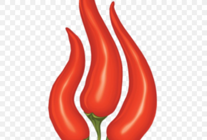 Cayenne Pepper Bird's Eye Chili Serrano Pepper Chili Pepper Bell Pepper, PNG, 1000x675px, Cayenne Pepper, Bell Pepper, Bell Peppers And Chili Peppers, Bird S Eye Chili, Capsicum Download Free