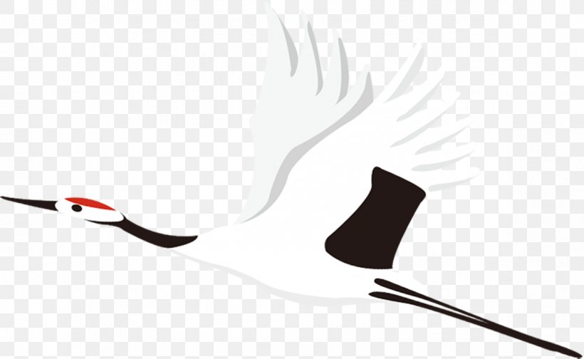 Common Crane Bird Vecteur, PNG, 1182x727px, Crane, Bird, Black, Brand, Common Crane Download Free