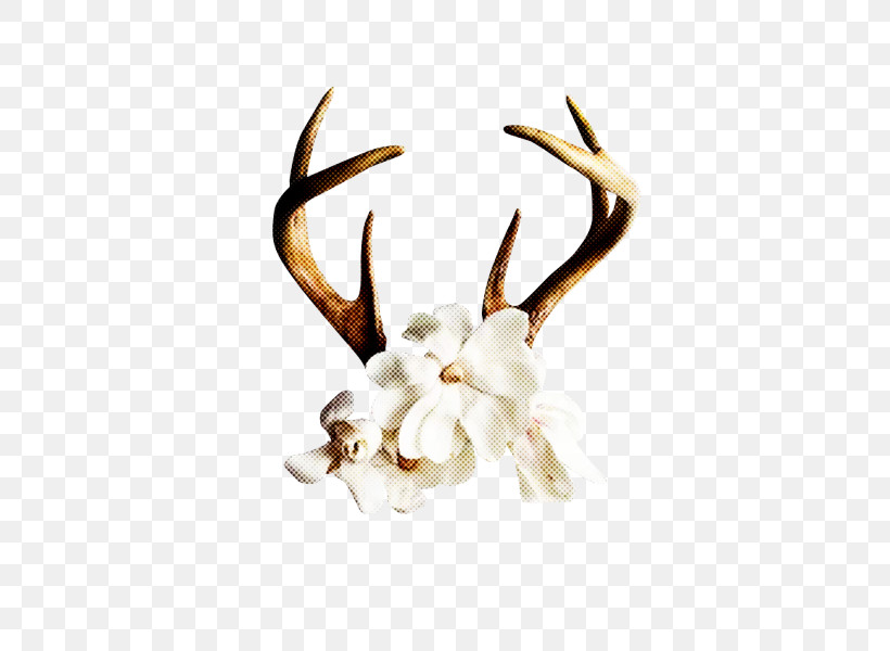 Horn Antler White Head Deer, PNG, 480x600px, Horn, Antler, Deer, Head, Natural Material Download Free