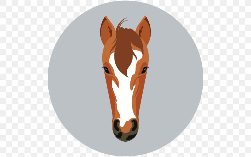 Horse Mane Face, PNG, 512x512px, Horse, Bridle, Face, Halter, Head Download Free