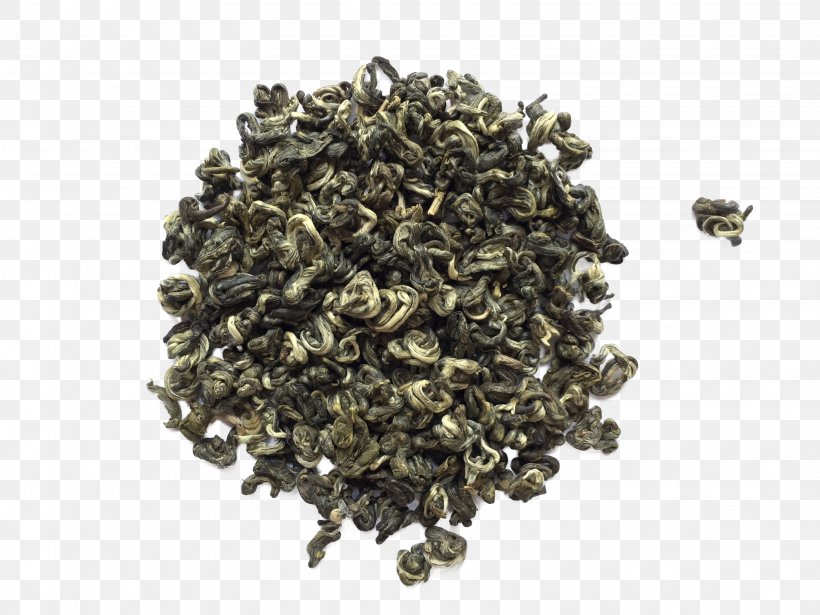 Nilgiri Tea Oolong Tea Plant, PNG, 3264x2448px, Nilgiri Tea, Assam Tea, Biluochun, Ceylon Tea, Chun Mee Tea Download Free