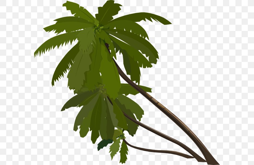 Animation Tree Arecaceae Clip Art, PNG, 600x533px, Animation, Animated Cartoon, Arecaceae, Branch, Character Animation Download Free