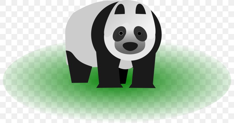 Giant Panda Clip Art, PNG, 800x434px, Giant Panda, Bear, Carnivoran, Cat, Kamil Stoch Download Free
