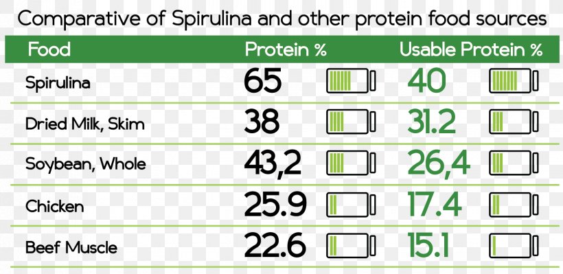 Nutrient Spirulina Protein Food Algae, PNG, 1650x804px, Nutrient, Algae, Area, B Vitamins, Brand Download Free
