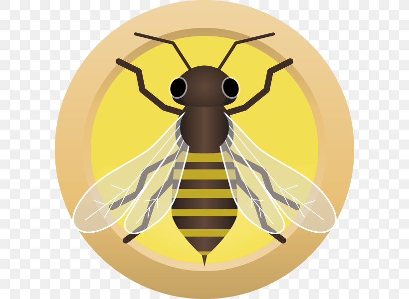 Honey Bee Brown Ale Pale Ale Beer, PNG, 800x600px, Honey Bee, Ale, Arthropod, Bee, Beer Download Free