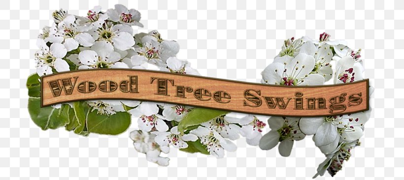 Swing Wood Tree Cupressus Mahogany, PNG, 719x366px, Swing, Cupressus, Flower, Mahogany, Toddler Download Free