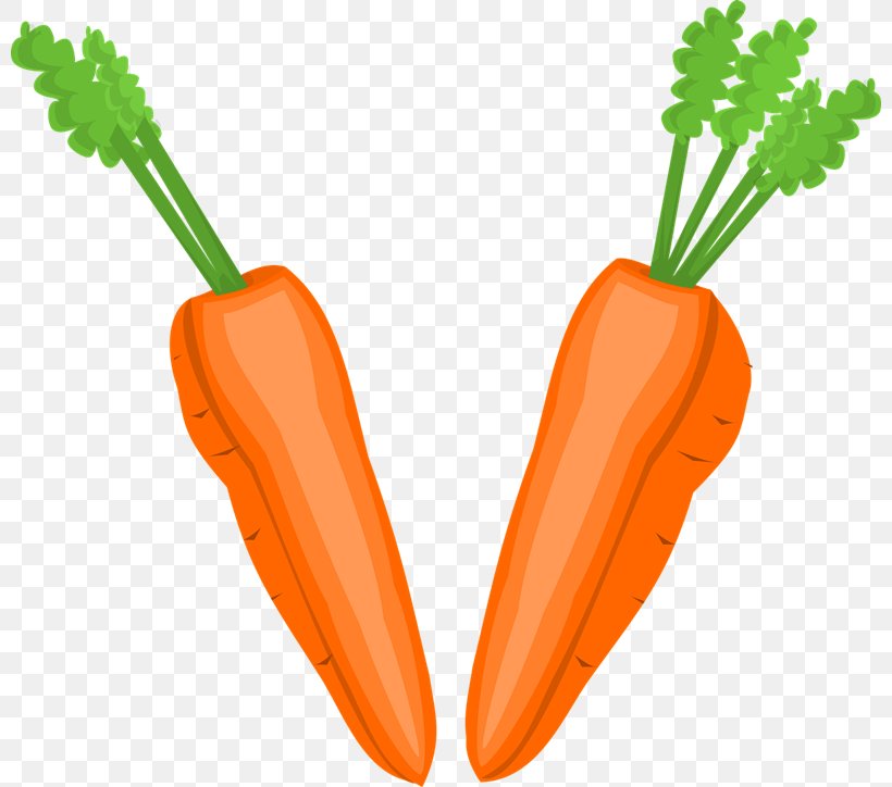 Vegetable Fruit Carrot Food Clip Art, PNG, 800x724px, Vegetable, Baby Carrot, Carrot, Food, Free Content Download Free