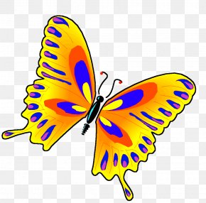 Butterfly GIF Clip Art Information, PNG, 500x522px, Butterfly ...