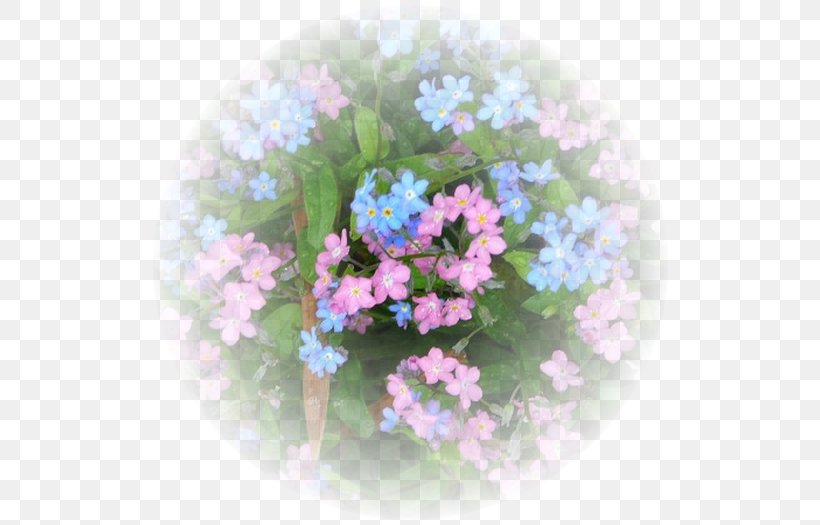 Floral Design Cut Flowers Borages, PNG, 700x525px, Floral Design, Annual Plant, Artificial Flower, Blue, Borage Download Free