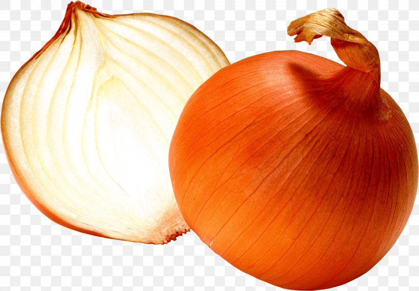 French Onion Soup White Onion Clip Art, PNG, 3000x2085px, French Onion Soup, Allium, Allium Fistulosum, Food, Fruit Download Free