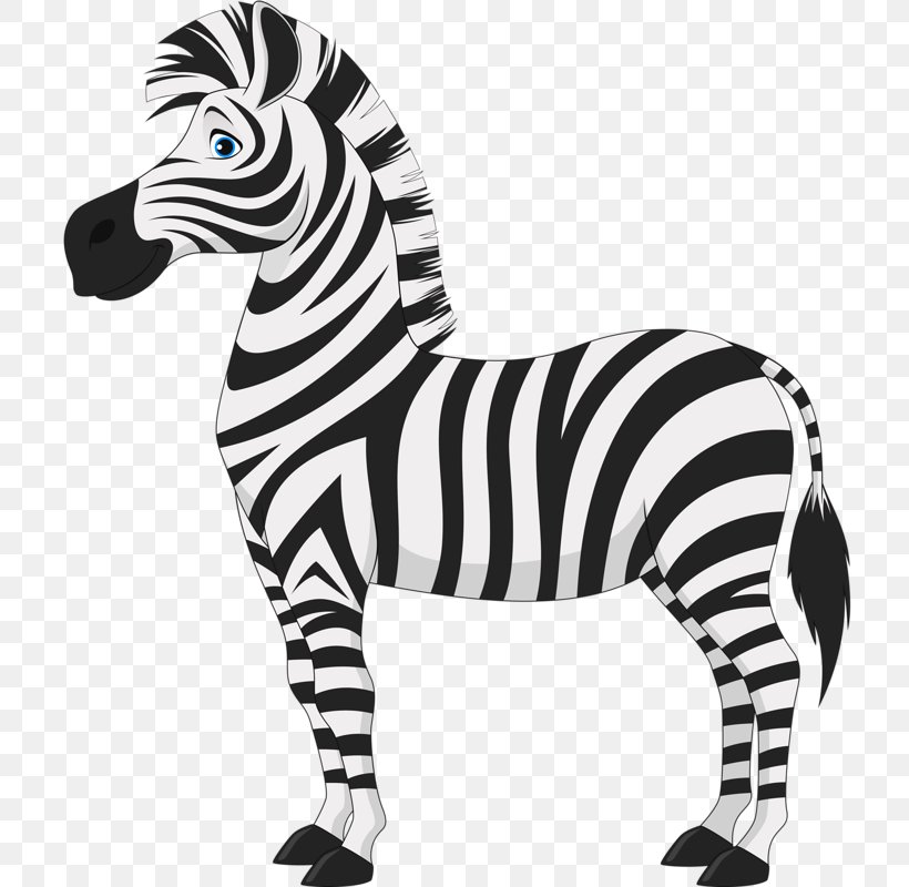 Horse Zebra Clip Art, PNG, 721x800px, Horse, Black, Black And White, Cartoon, Cuteness Download Free