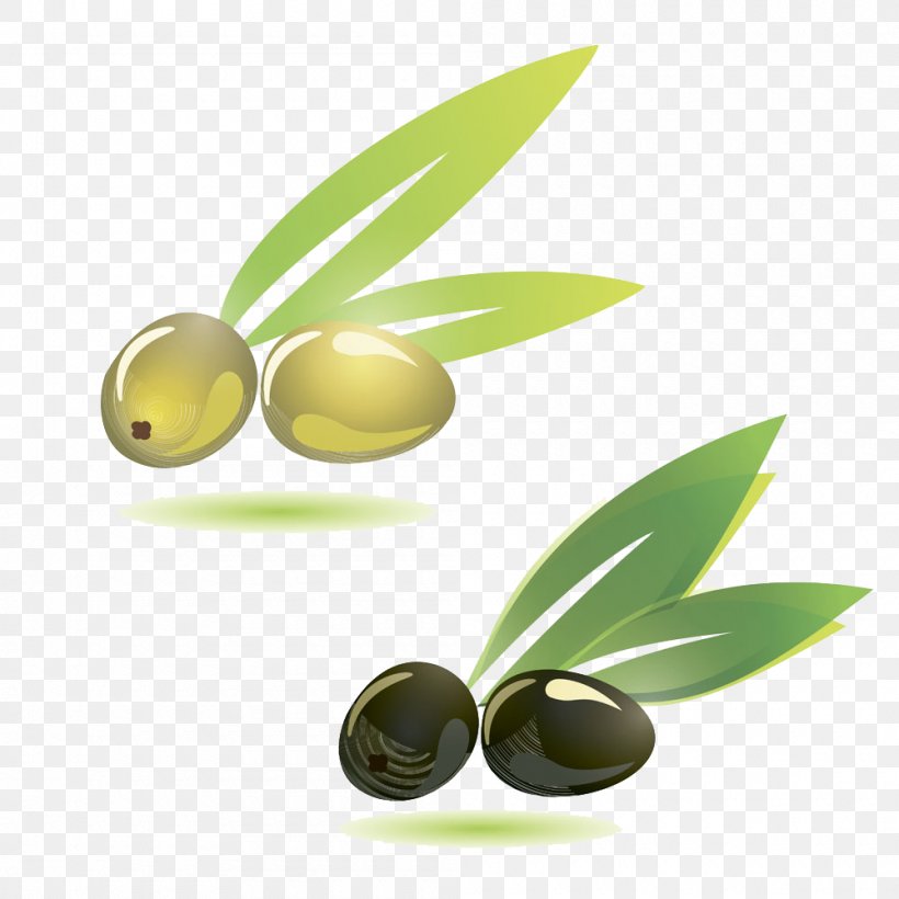 Olive Branch Illustration, PNG, 1000x1000px, Olive, Food, Fruit, Oil, Olive Branch Download Free