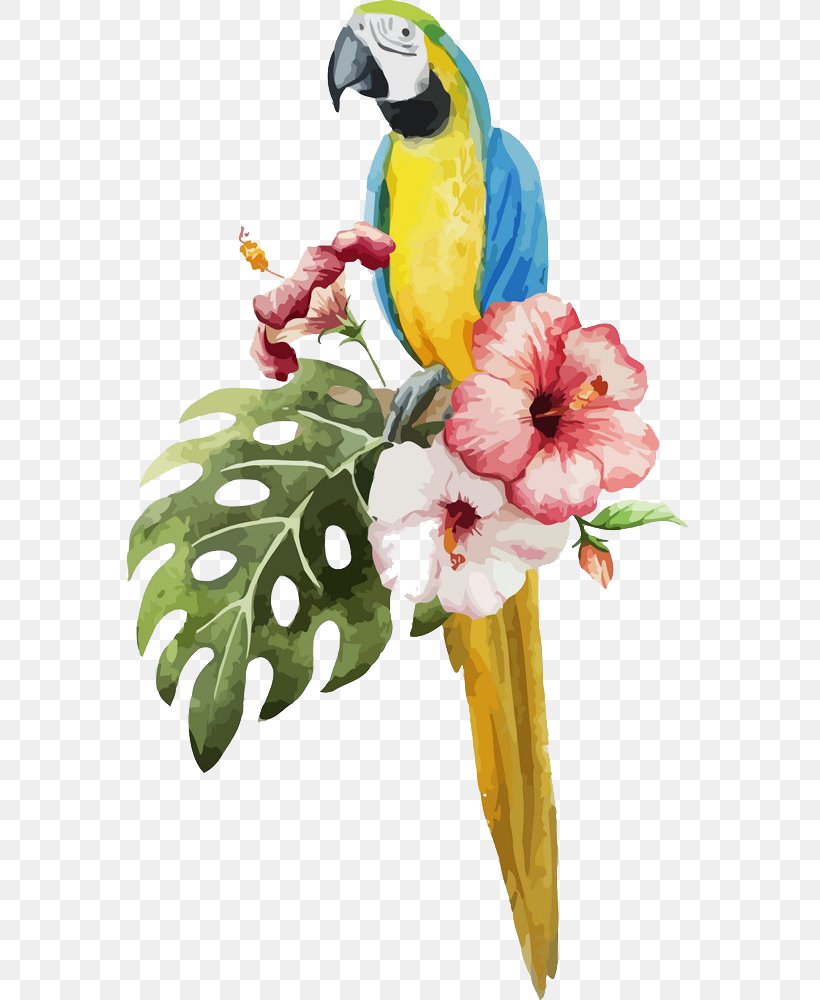 Parrot Bird Watercolor Painting Illustration, PNG, 565x1000px, Parrot, Allposterscom, Art, Beak, Bird Download Free