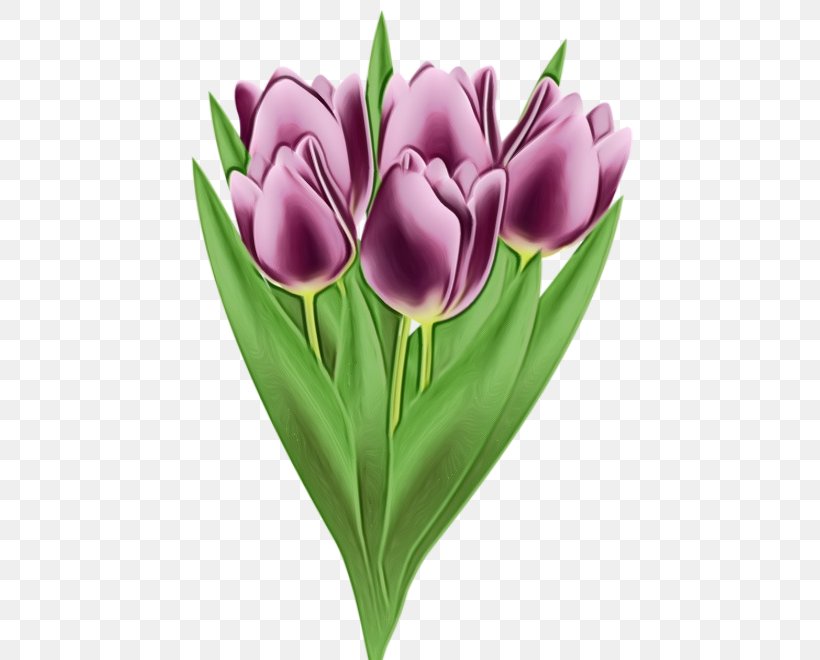 Tulip Flower Purple Petal Violet, PNG, 454x660px, Watercolor, Cut Flowers, Flower, Flowering Plant, Lily Family Download Free