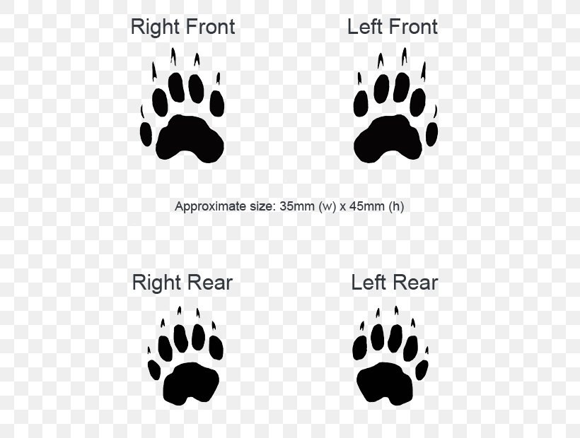 European Badger Animal Track Paw, PNG, 620x620px, European Badger, Animal, Animal Track, Badger, Black Download Free