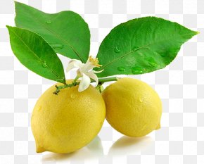Lemon - Lemonade Juice Persian Lime Food PNG