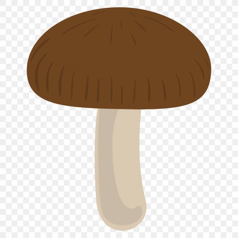 Mushroom Table Beige Edible Mushroom Fungus, PNG, 1200x1200px, Mushroom, Agaricaceae, Agaricomycetes, Beige, Edible Mushroom Download Free