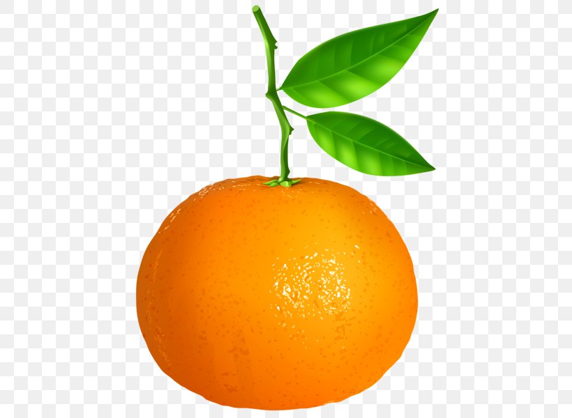 Tangerine Mandarin Orange Vegetarian Cuisine Clip Art, PNG, 451x600px, Tangerine, Bitter Orange, Citric Acid, Citrus, Clementine Download Free