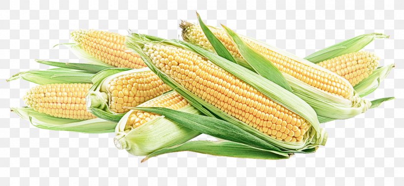 Corn Kernels Corn On The Cob Corn Sweet Corn Vegetable, PNG, 1300x600px, Corn Kernels, Corn, Corn On The Cob, Cuisine, Food Download Free