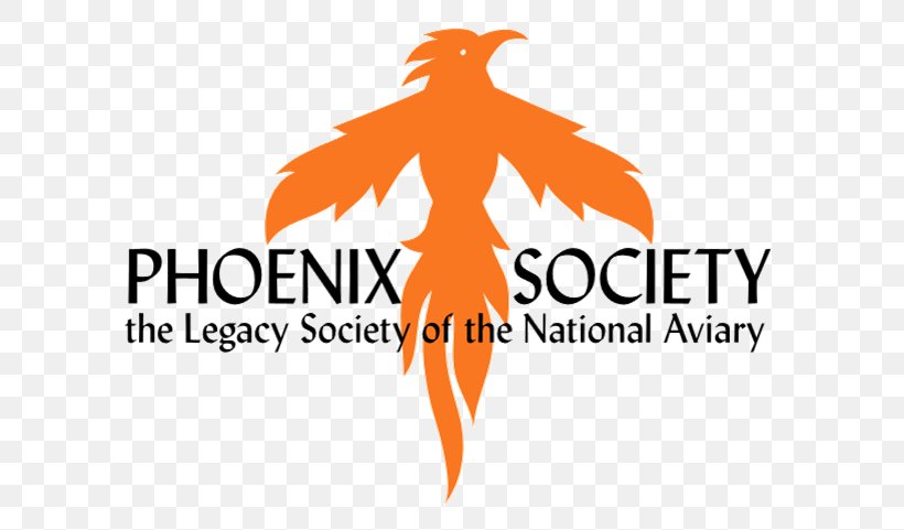 National Aviary Phoenix Society For Burn Survivors Planned Giving Generosity Leslie Clements, PT, PNG, 652x481px, Watercolor, Cartoon, Flower, Frame, Heart Download Free
