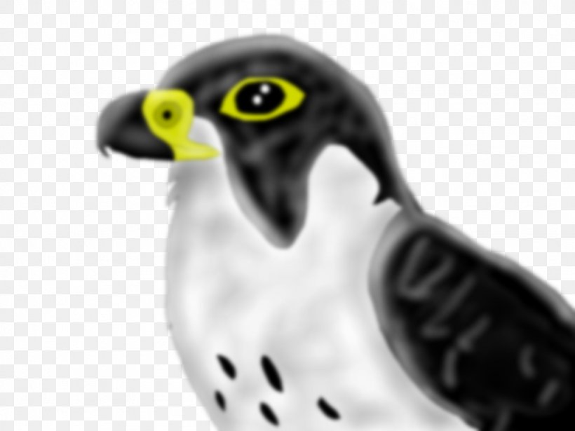 Owl Beak Close-up Falcon Font, PNG, 1024x768px, Owl, Beak, Bird, Bird Of Prey, Close Up Download Free