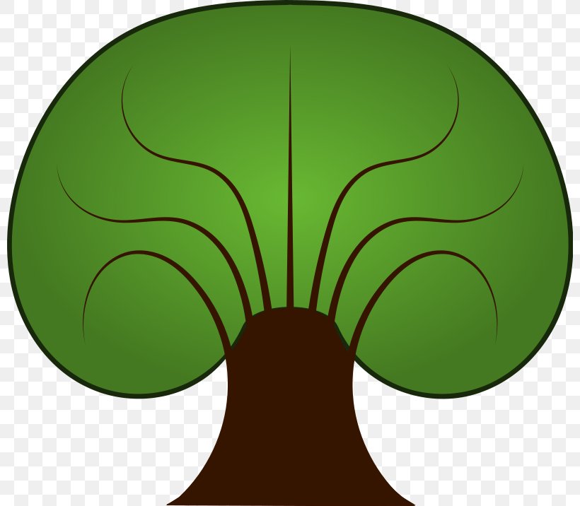Tree Drawing Free Content Clip Art, PNG, 800x716px, Tree, Branch, Computer, Drawing, Flowering Plant Download Free