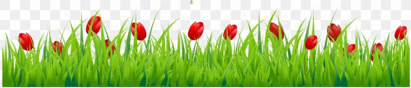 Tulip Flower Stock Photography Clip Art, PNG, 4268x919px, Tulip, Cardmaking, Close Up, Commodity, Digital Scrapbooking Download Free