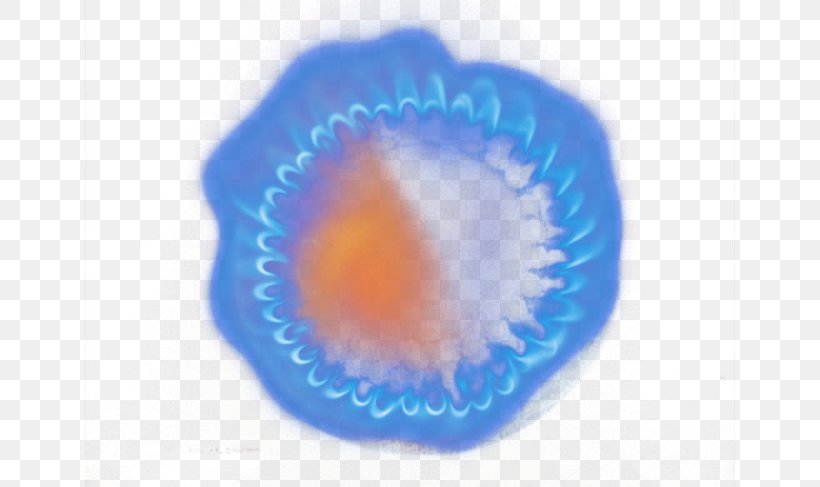 Circle Close-up Organism Wallpaper, PNG, 650x487px, Closeup, Blue, Close Up, Cobalt Blue, Computer Download Free