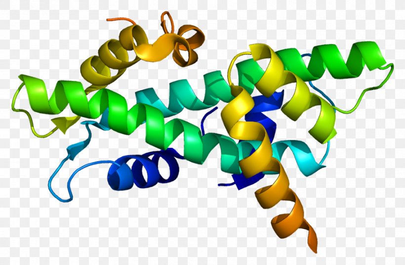 NFYB NFYC Protein Transcription Factor Gene, PNG, 910x595px, Protein, Artwork, Binding Protein, Caat Box, Folliclestimulating Hormone Download Free