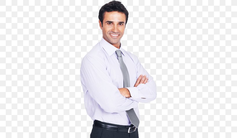 Professional Consultant Skill, PNG, 267x480px, Professional, Abdomen, Arm, Business, Businessperson Download Free
