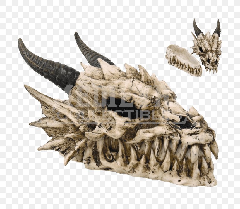 Skull Dragon Skeleton Fang Face, PNG, 716x716px, Skull, Box, Calavera, Claw, Dragon Download Free