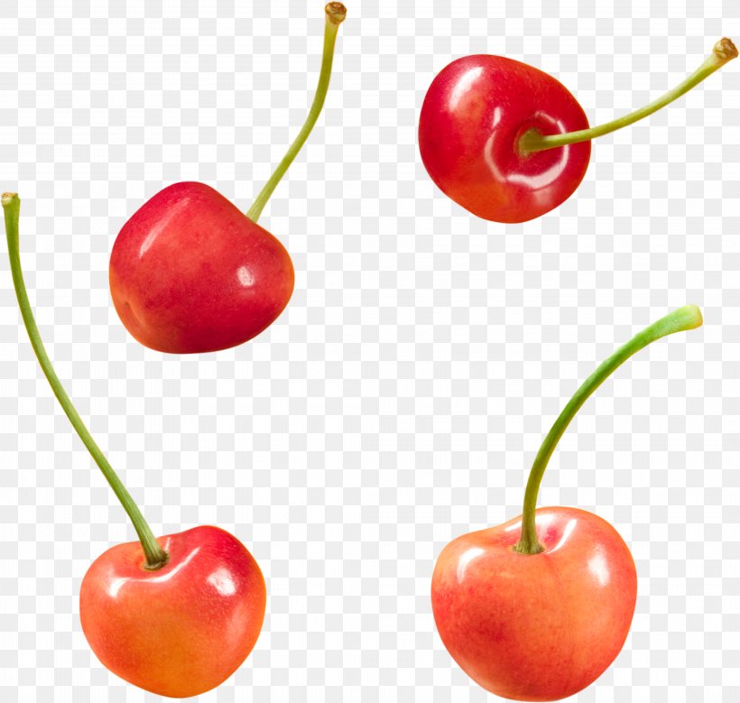 Barbados Cherry Food Fruit Clip Art, PNG, 4143x3937px, Cherry, Accessory Fruit, Acerola, Acerola Family, Auglis Download Free