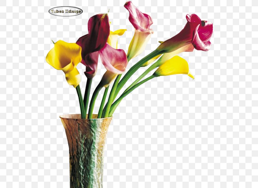 Floral Design Cut Flowers Iris Family Vase, PNG, 543x600px, Floral Design, Artificial Flower, Cut Flowers, Floristry, Flower Download Free