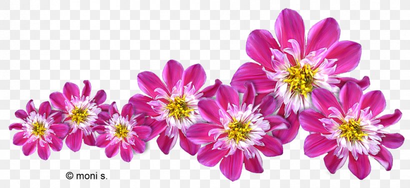 Flower Bouquet Blume Clip Art, PNG, 991x456px, Flower Bouquet, Annual Plant, Blossom, Blume, Chrysanths Download Free