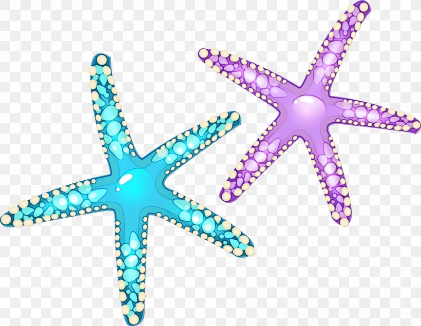 Star Drawing, PNG, 2000x1551px, Starfish, Cartoon, Drawing, Ochre Sea Star, Purple Download Free