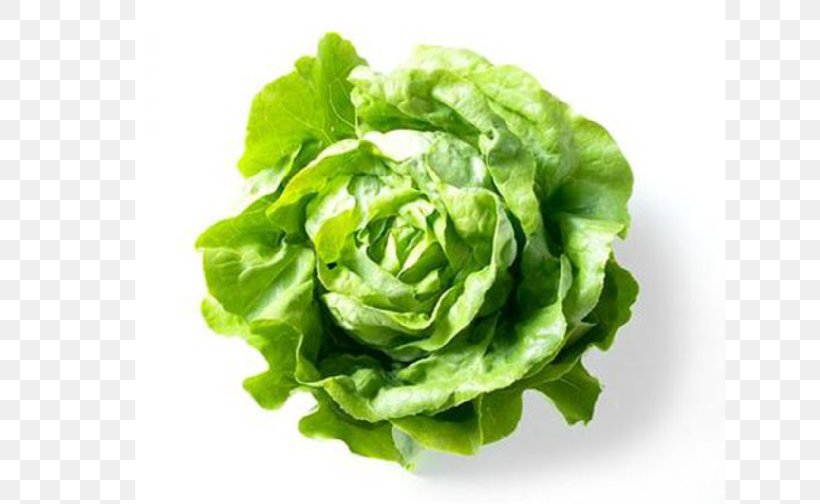 Vegetable Salad Seed Celtuce Food, PNG, 720x504px, Vegetable, Bean, Bok Choy, Butterhead Lettuce, Celtuce Download Free